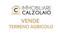 VENDE TERRENO AGRICOLO