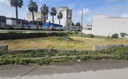 VENDITA TERRENO EDIFICABILE SP TARANTO-LECCE FRAGAGNANO